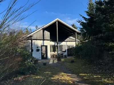 Ferienhaus für 11 Personen (85 m²) in Willingen (Upland) 1/10