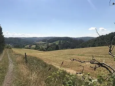 Umgebung