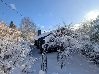 Ferienhaus für 4 Personen (70 m²) in Willingen (Upland) 2/10