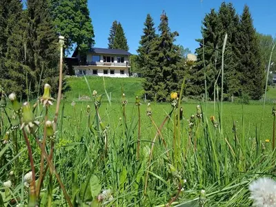 ExteriorSummer