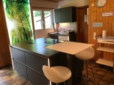 Ferienhaus für 18 Personen (160 m²) in Willingen (Upland) 4/10