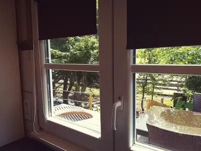 Blick vom Küchenfenster