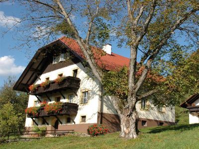 Bauer am Berg im Sommer