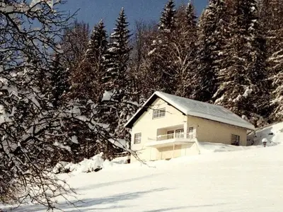 Ferienhaus für 8 Personen (120 m²) in Windischgarsten 1/10
