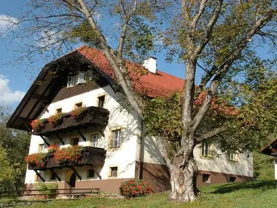 Ferienhaus für 8 Personen (120 m²) in Windischgarsten 2/10