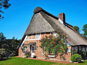 Ferienhaus für 5 Personen (105 m&sup2;) in Wingst