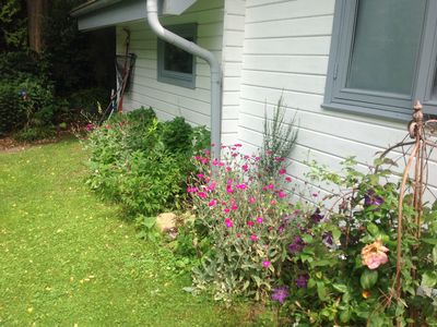 seitlicher Gartenanteil,Fenster von der Schlafzimmern