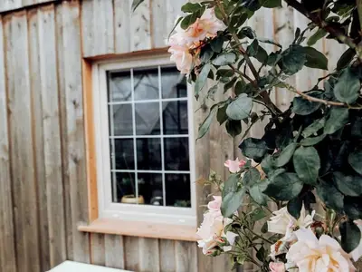 Ferienhaus für 4 Personen (56 m²) in Wingst 2/10