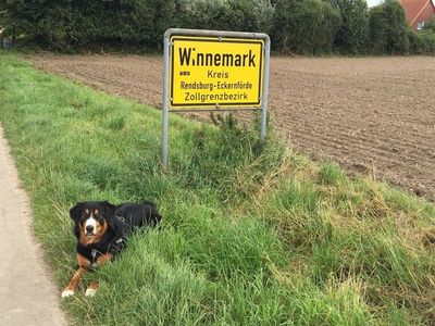 Ferienhaus für 2 Personen (30 m²) in Winnemark 10/10