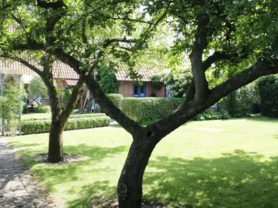 Ferienhaus für 2 Personen (30 m²) in Winnemark 5/10