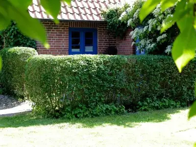 Ferienhaus für 2 Personen (30 m²) in Winnemark 7/10