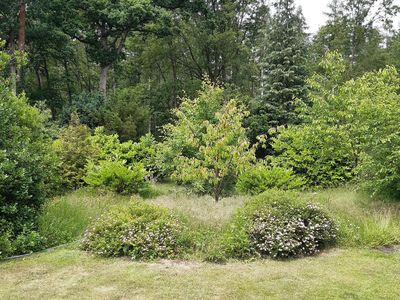 Ferienhaus Ringweg Garten