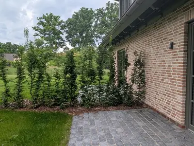 Ferienhaus für 4 Personen (80 m²) in Winsen (Aller) 6/10