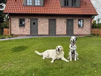 Ferienhaus für 4 Personen (80 m²) in Winsen (Aller) 10/10