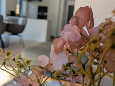 Ferienhaus für 4 Personen (80 m²) in Winsen (Aller) 10/10