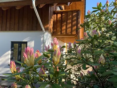 Ferienhaus für 9 Personen (109 m²) in Winterberg 3/10