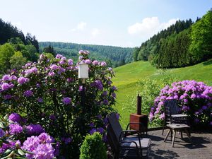 19341439-Ferienhaus-30-Winterberg-300x225-4