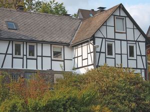 22064555-Ferienhaus-12-Winterberg-300x225-4