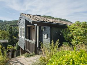 Ferienhaus für 6 Personen (110 m&sup2;) in Winterberg