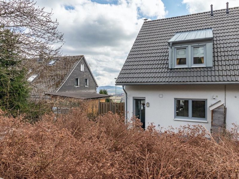 23555404-Ferienhaus-6-Winterberg-800x600-0