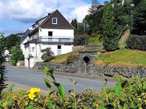 23555403-Ferienhaus-8-Winterberg-300x225-1