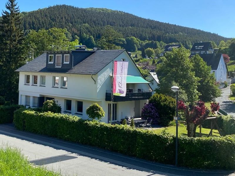 22179465-Ferienhaus-5-Winterberg-800x600-0