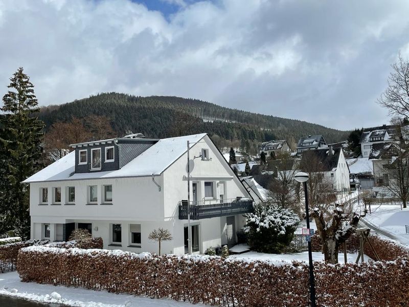 22179465-Ferienhaus-5-Winterberg-800x600-1