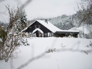 Ferienhaus für 6 Personen (96 m²) in Winterberg