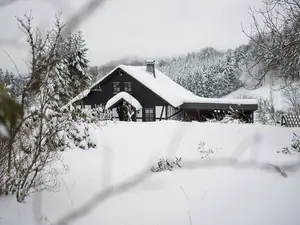 Ferienhaus für 6 Personen (96 m²) in Winterberg
