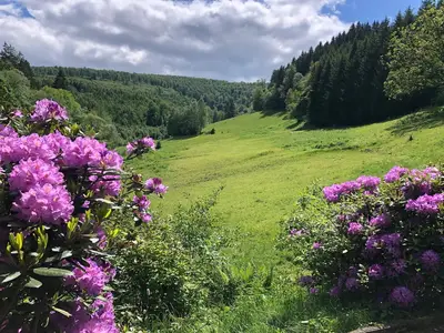 GardenSummer