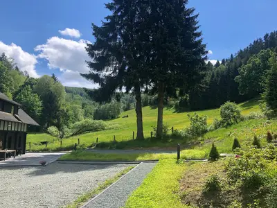ViewSummer