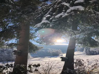 GardenWinter