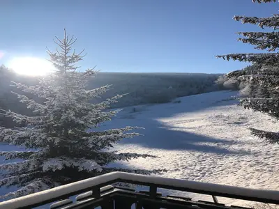 GardenWinter