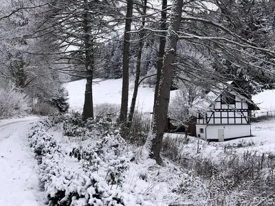 ExteriorWinter