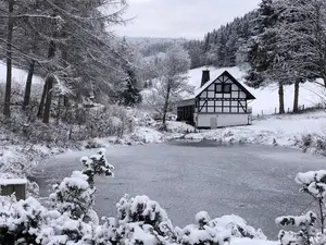 Ferienhaus für 11 Personen (220 m²) in Winterberg