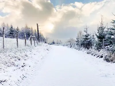 AreaWinter5KM