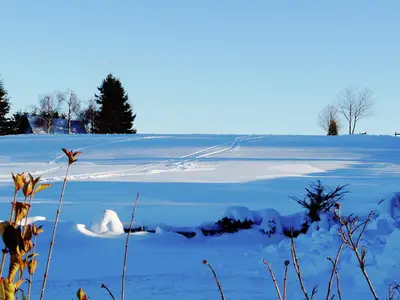 GardenWinter