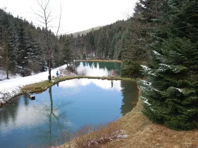 AreaWinter5KM