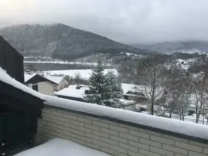 Ferienhaus für 6 Personen (71 m²) in Winterberg