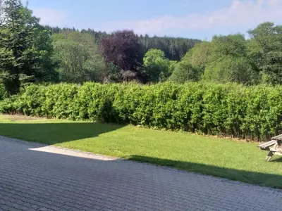 Ferienhaus für 16 Personen (290 m²) in Winterberg 8/10
