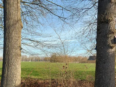 view-from-room