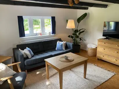 Ferienhaus für 4 Personen (50 m²) in Wischhafen 5/10