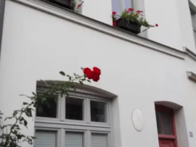 Ferienhaus für 6 Personen (72 m²) in Wismar 2/10
