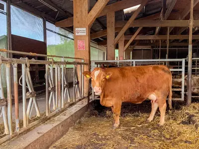 Tiere auf Hof Hagdorn