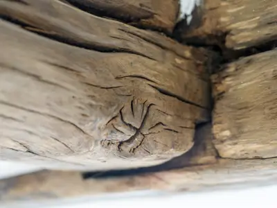 Gänseblümchen Holzbalken