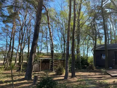 Ferienhaus für 4 Personen (60 m²) in Wittingen 3/10