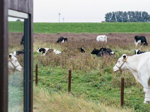 Ferienhaus für 4 Personen (18 m²) in Wittmund