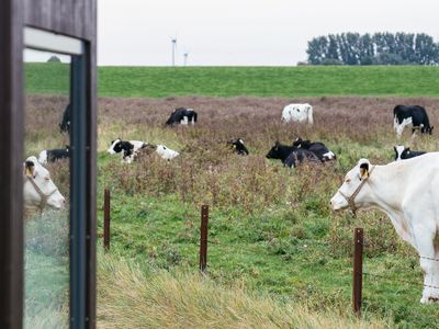 Landschaft