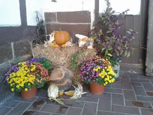 Ferienhaus für 8 Personen (100 m²) in Witzenhausen