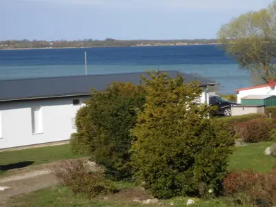ViewSummer